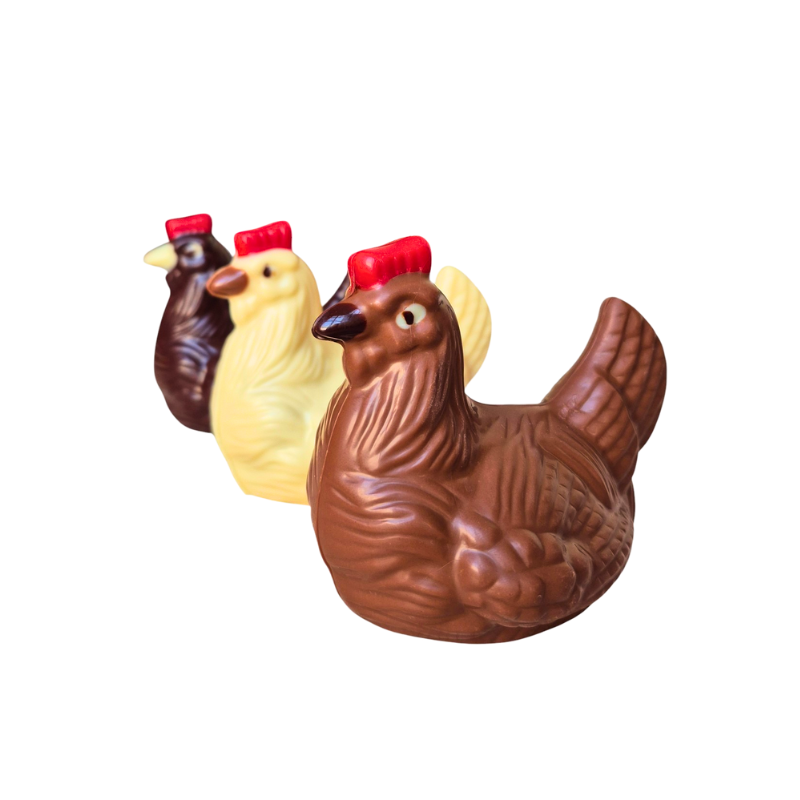 Poules en Chocolat – Lait ou Blanc, Assortiment fritures et œufs