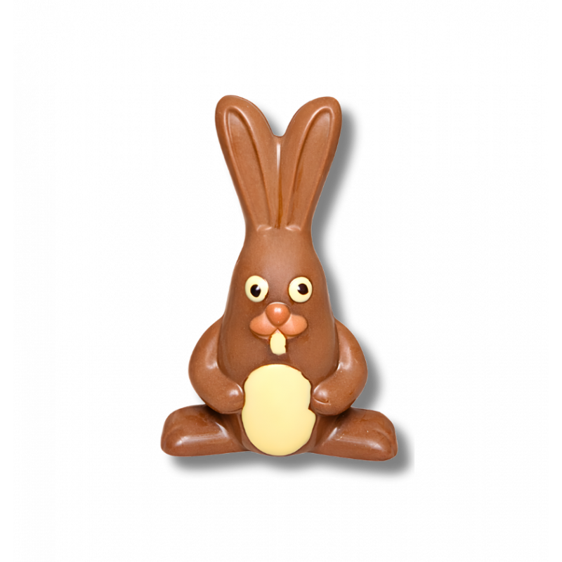 copy of Chocolate fish "Bubulle"