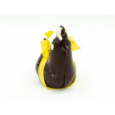 Cocotte au chocolat