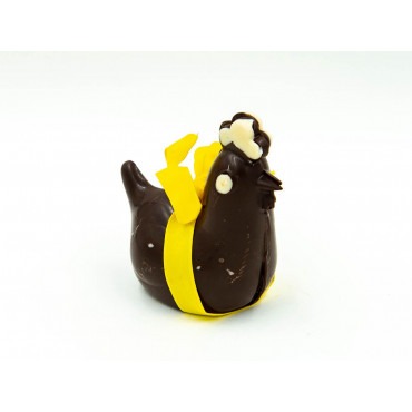 Cocotte au chocolat