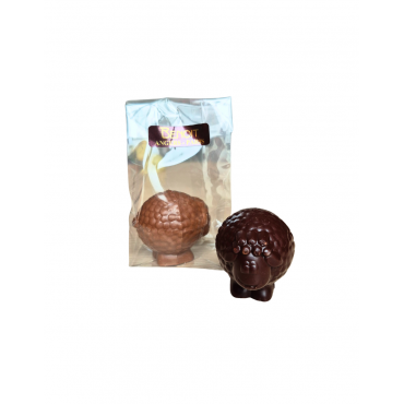 Mini sujets fourrés praliné – Lait, Blanc ou Noir (25g)